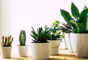 Photo by Margarita Terekhova on Unsplash